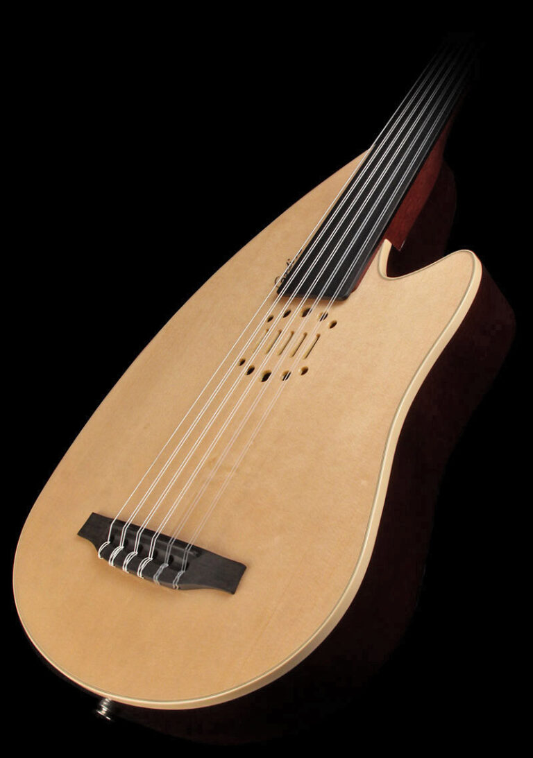 MultiOud Godin de jean-Luc Payssan
