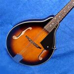 Acoustique cordes acier